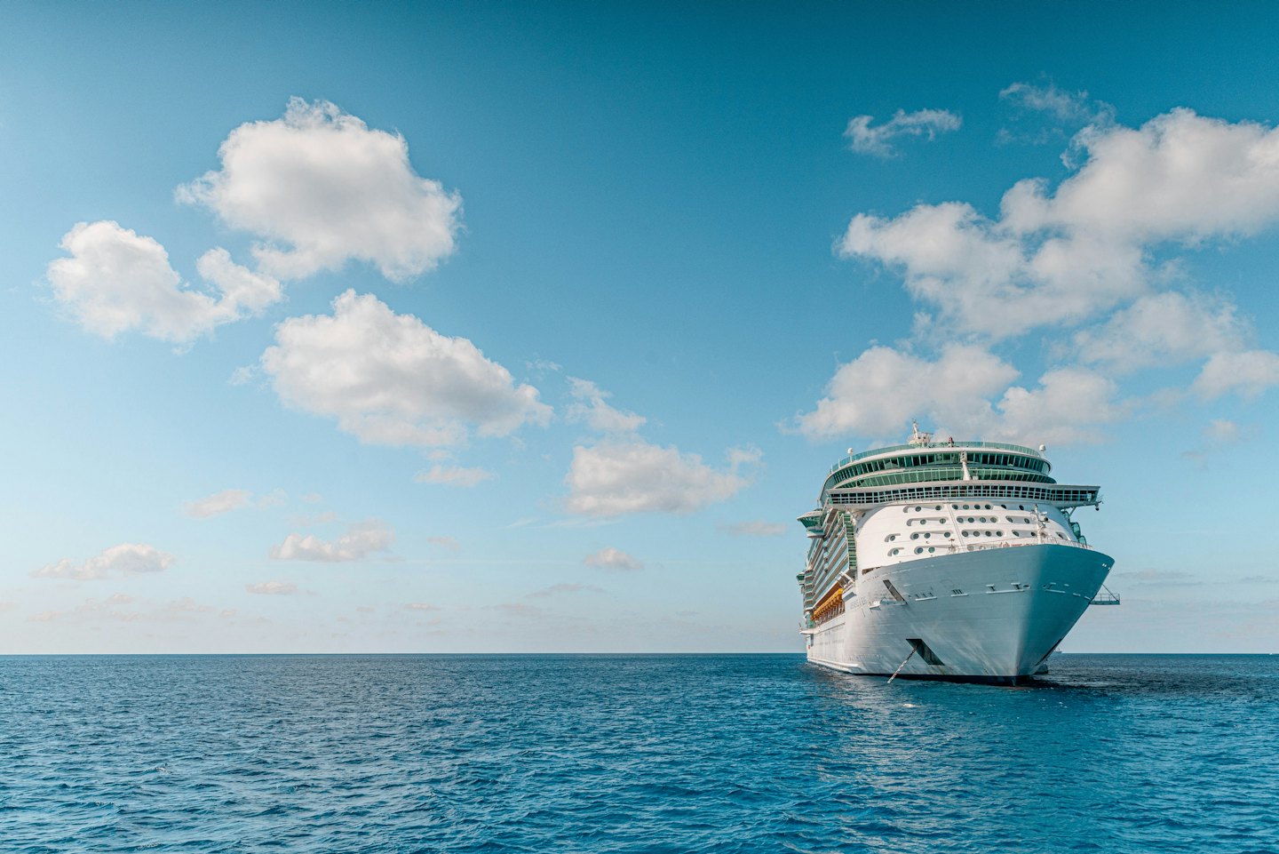 Ein weißes Kreuzfahrtschiff mit grünen Akzenten fährt auf dem blauen Ozean.